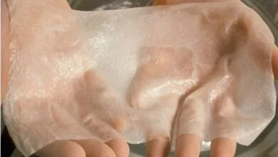 تولید پروتئین‌ ابریشم به روش زیستی برای ترمیم پوست و استخوان