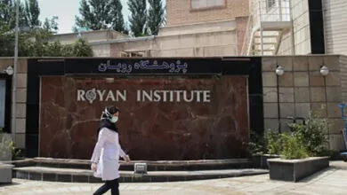 برگزاری مدرسه تابستانی بینالمللی پژوهشگاه رویان با موضوع هوش مصنوعی