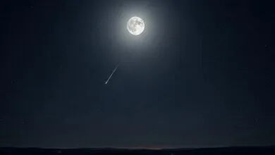 5607697.jpg